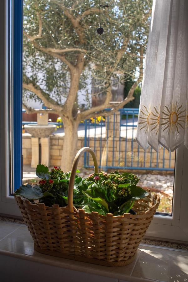 Olive Tree Apartments Умаг Екстер'єр фото