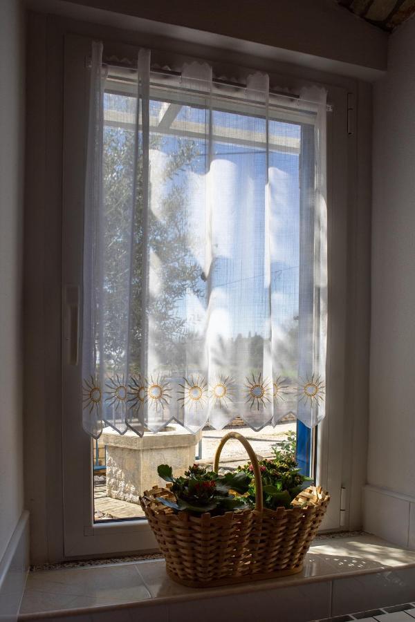 Olive Tree Apartments Умаг Екстер'єр фото