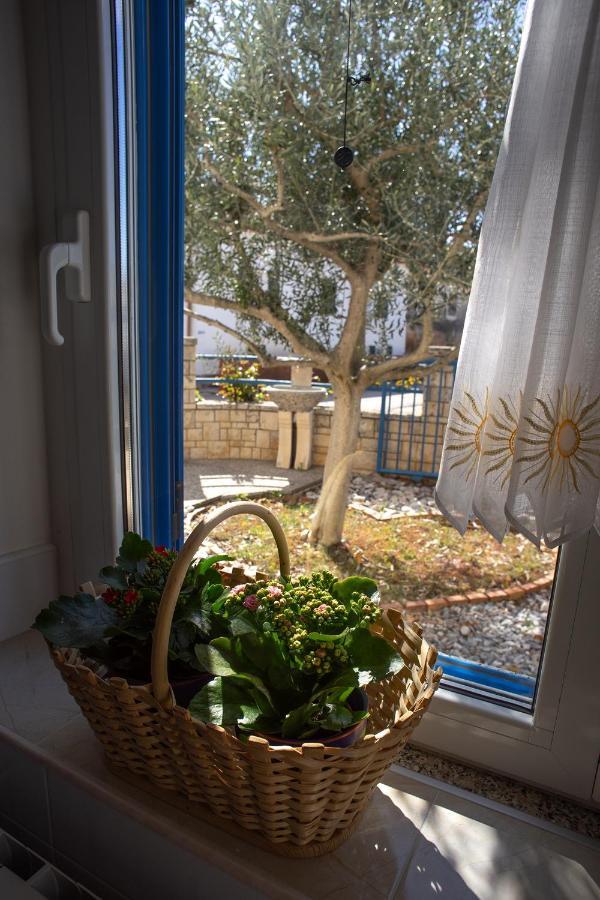 Olive Tree Apartments Умаг Екстер'єр фото